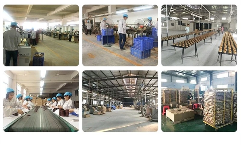 product-800-482 product-800-482